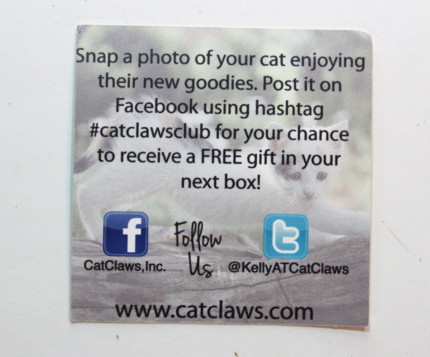 cat-claws-club-december-2016-share