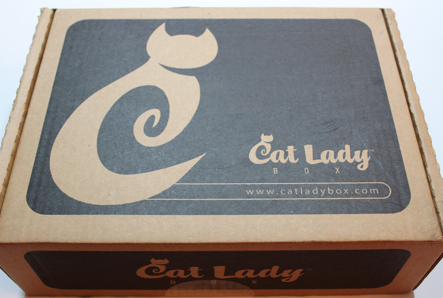 cat-lady-box-december-2016-box