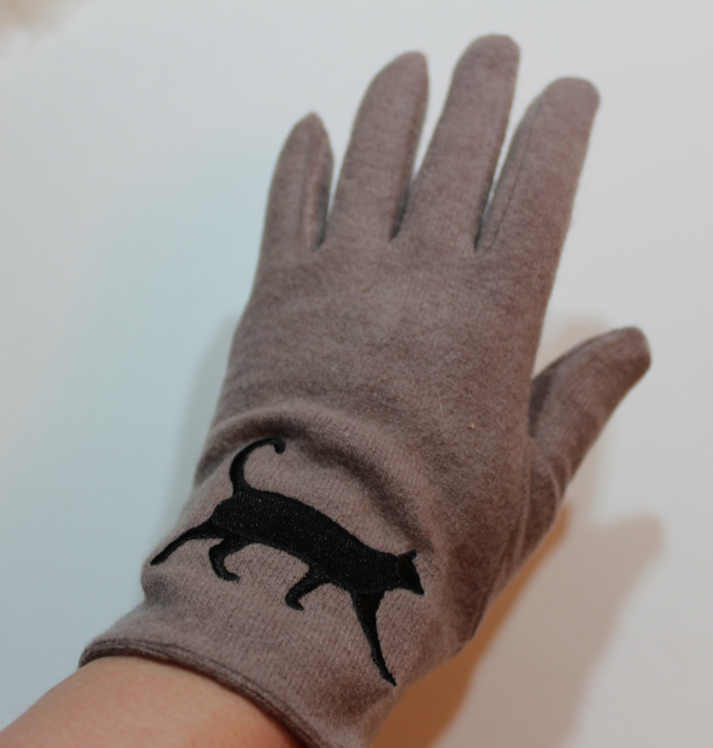 cat-lady-box-december-2016-glove-on