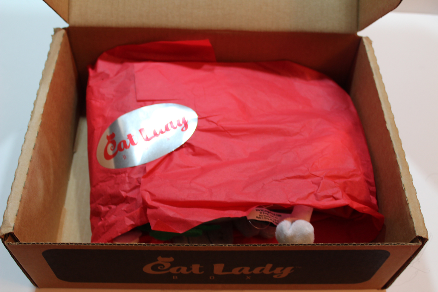 cat-lady-box-december-2016-inside1