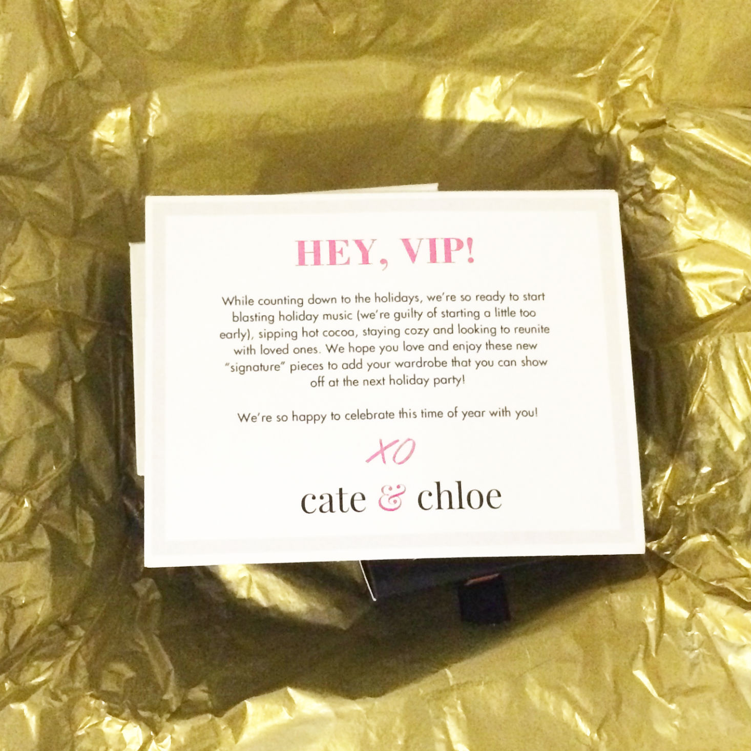 Read our review of the November 2016 Cate & Chloe box!