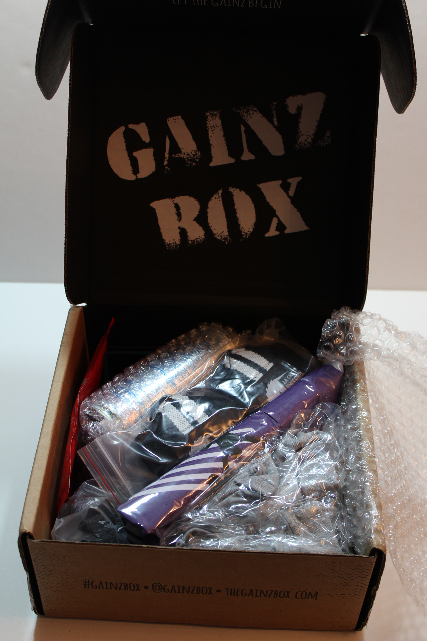 gainz-box-november-2016-inside