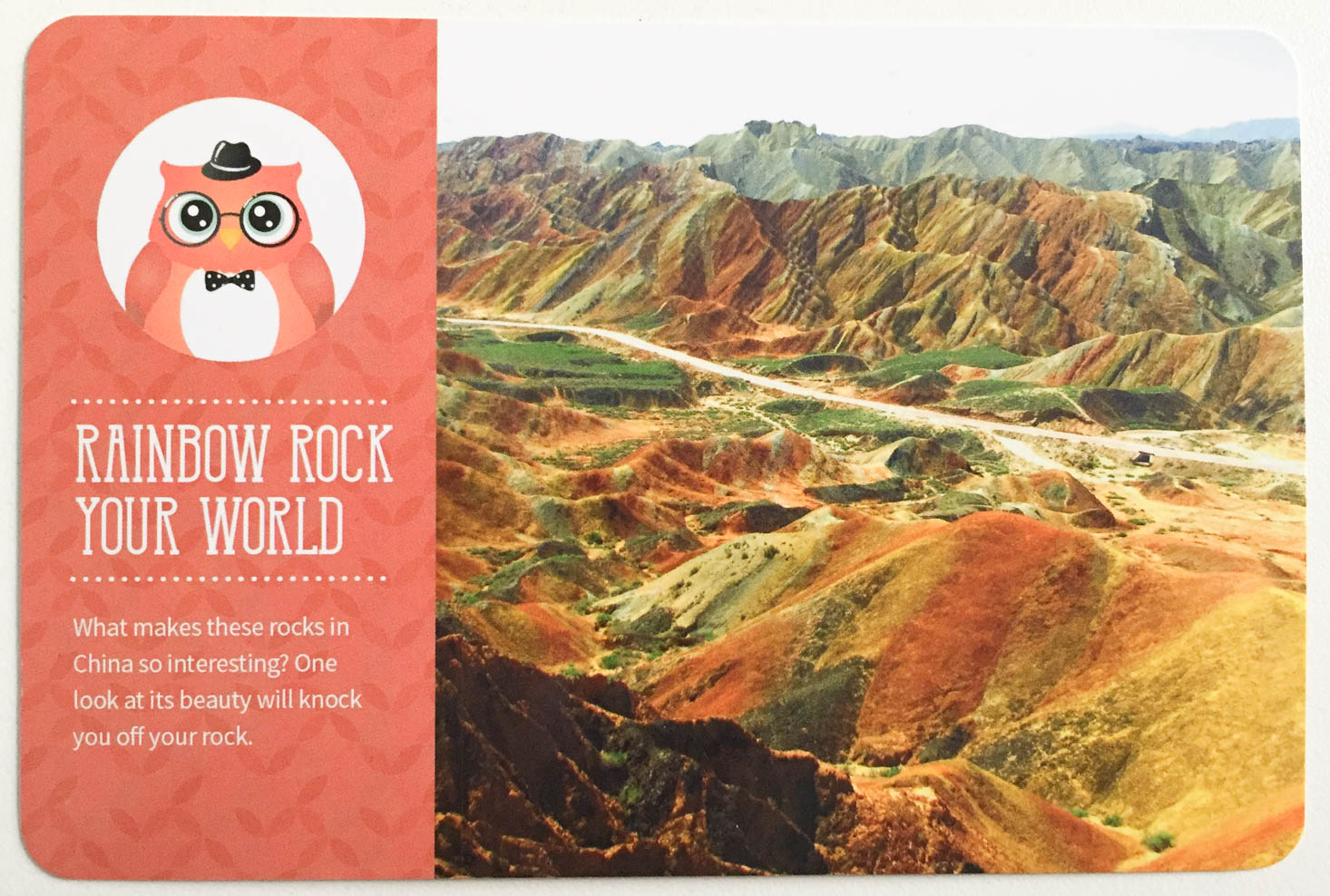 kiwibop-postcard-pals-november-2016-rocks