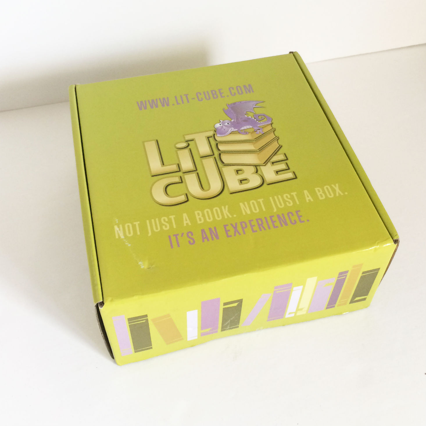 LitCube Book Subscription Box Review + Coupon– November 2016