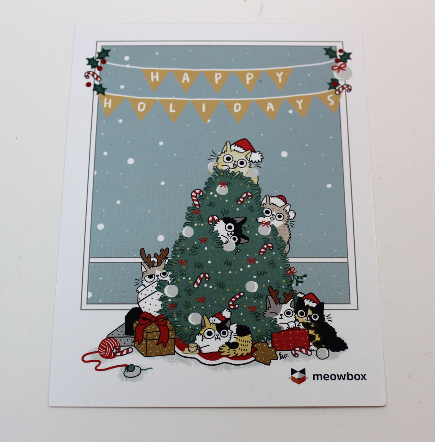 meowbox-december-2016-booklet-front