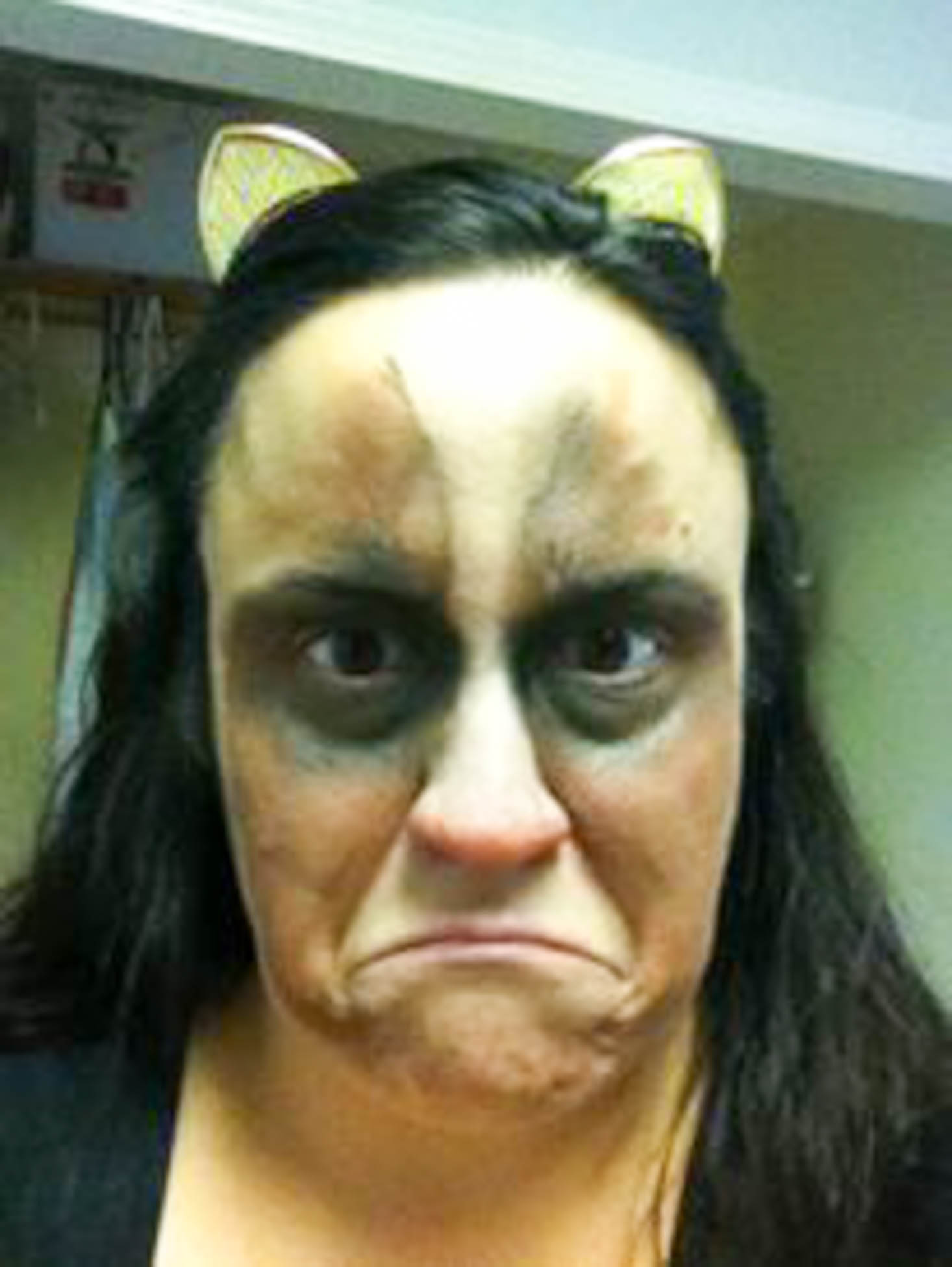 mini-mystery-box-of-awesome-november-2016-cat-2