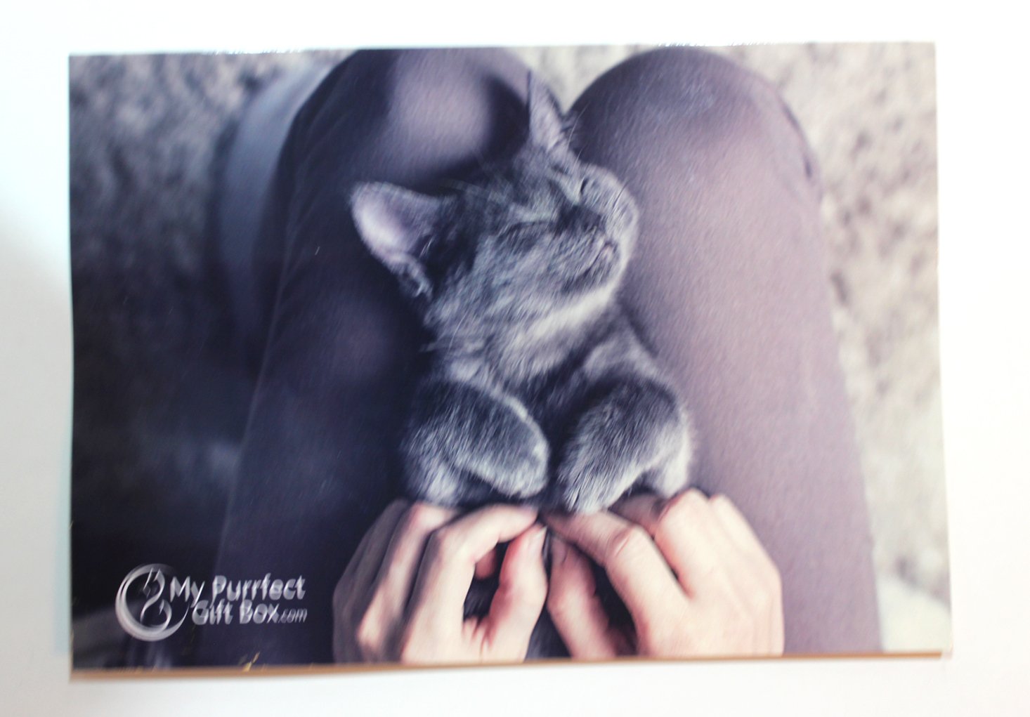 my-purrfect-gift-box-november-2016-booklet-front