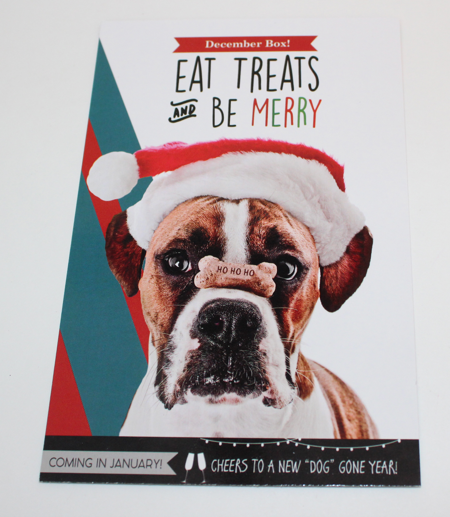 pet-treater-december-2016-booklet-back