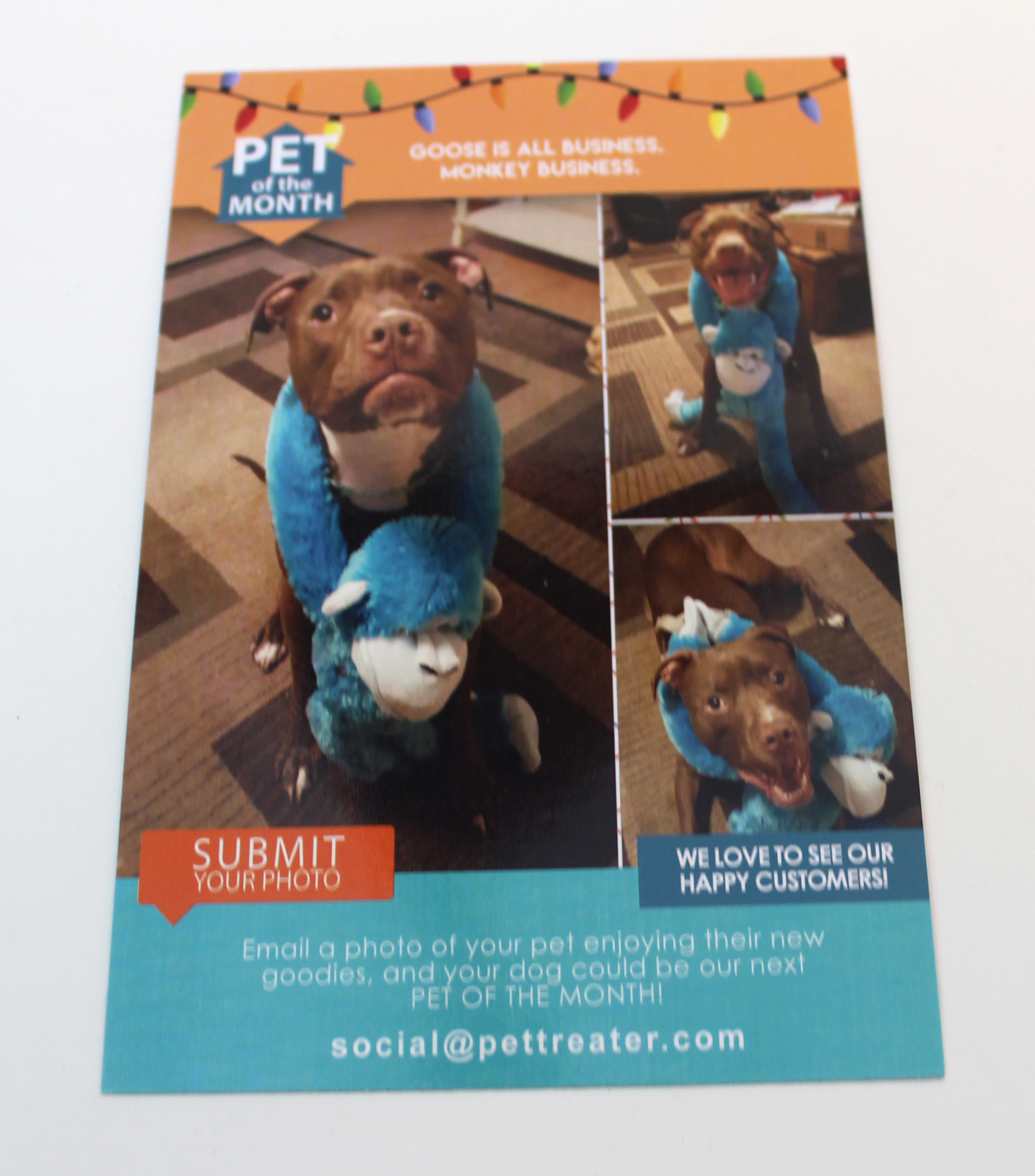 pet-treater-december-2016-booklet-front