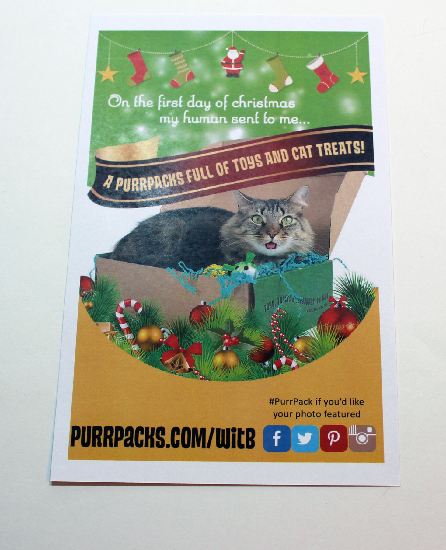 purr-packs-december-2016-booklet