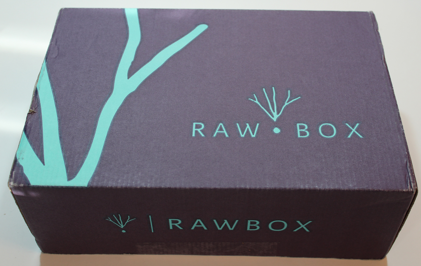 RawBox Subscription Box Review + Coupon – December 2016
