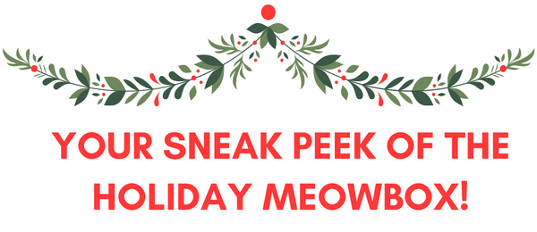 Meowbox December 2016 Spoiler + Coupon!