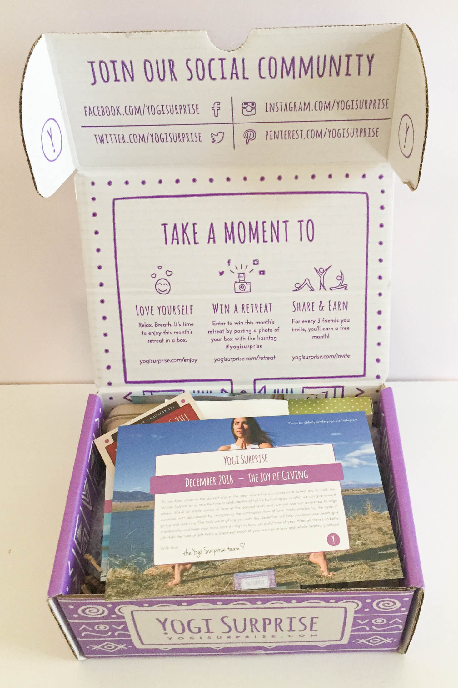 yogi-surprise-december-2016-box-inside