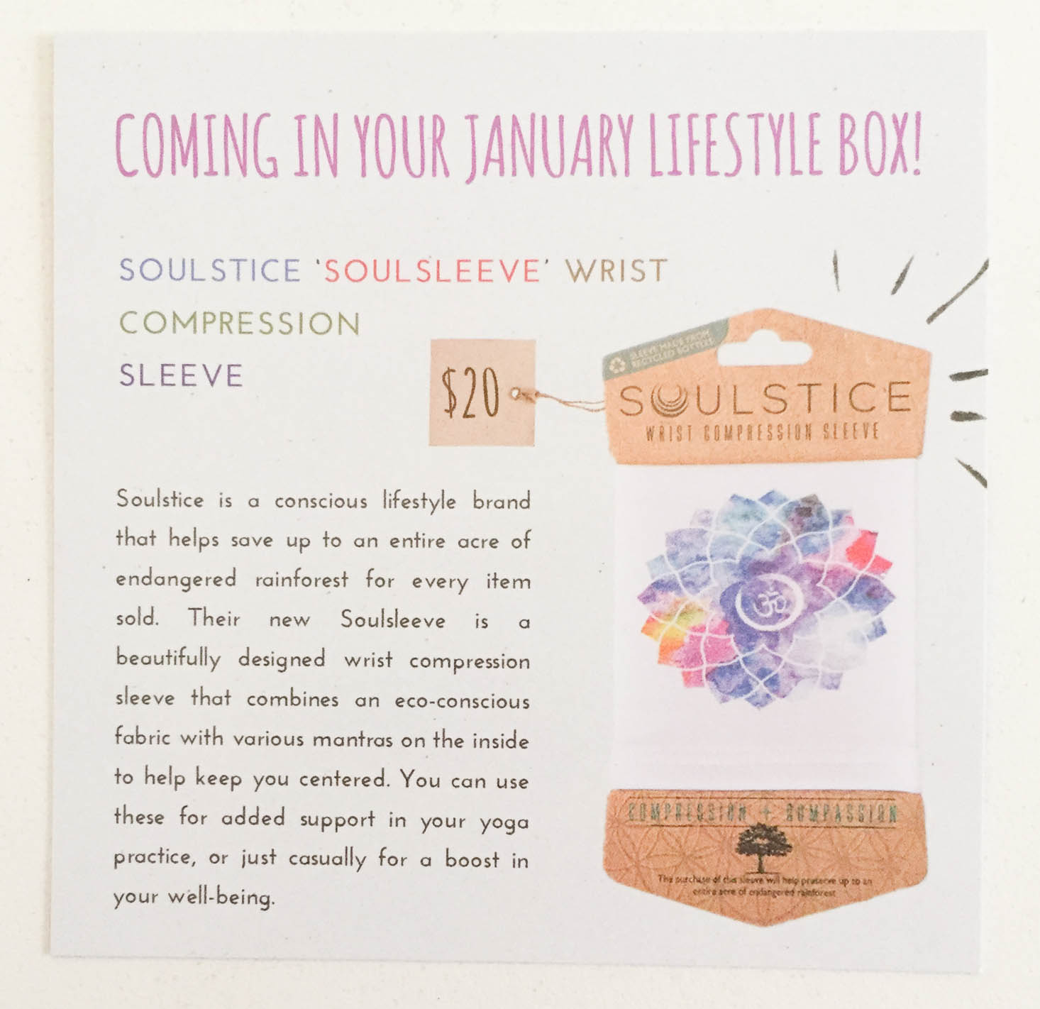 yogi-surprise-december-2016-spoiler
