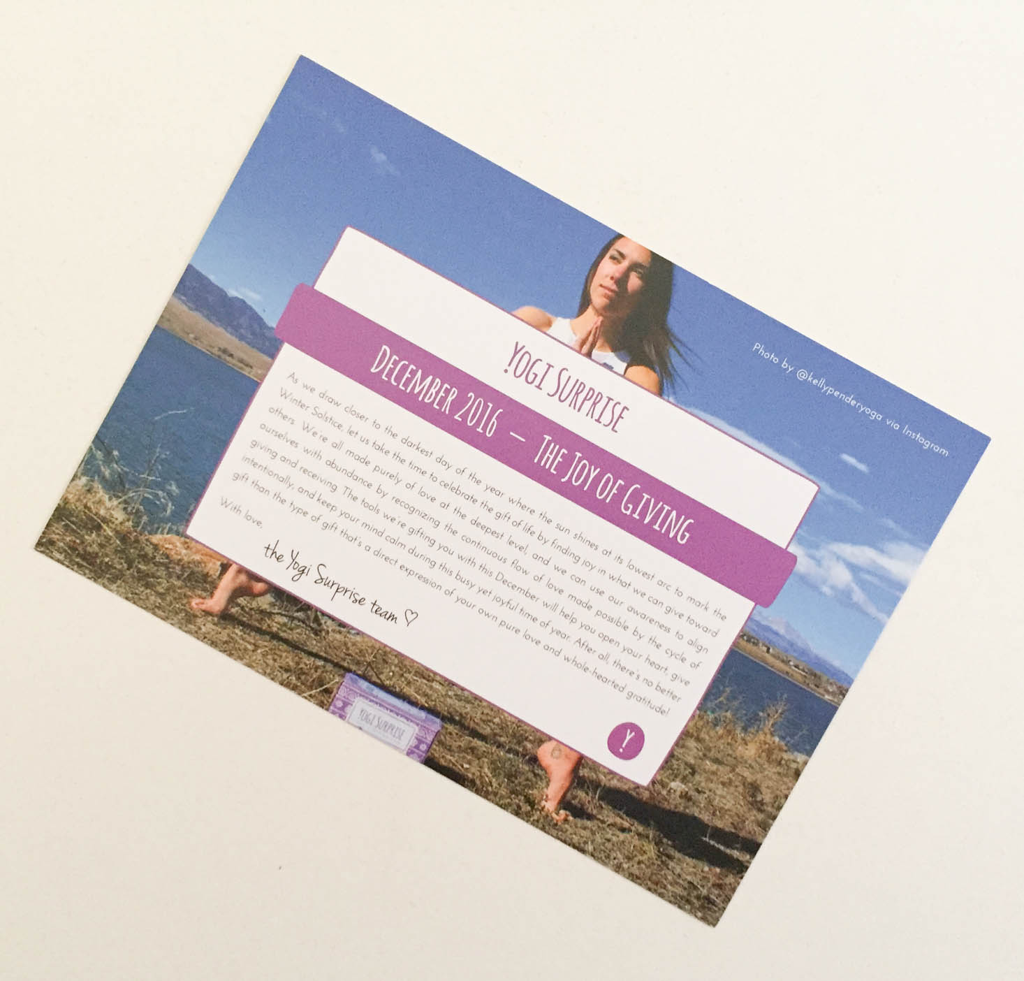 yogi-surprise-december-2016-theme