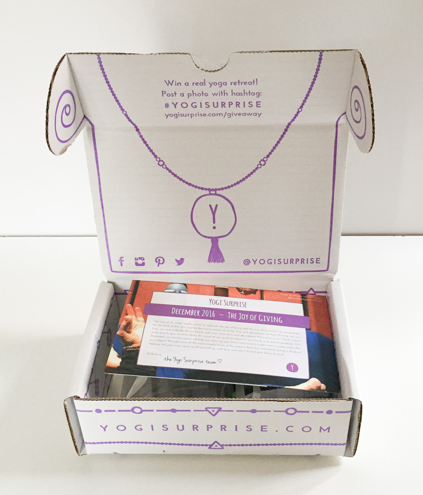 yogi-surprise-jewelry-december-2016-box-inside