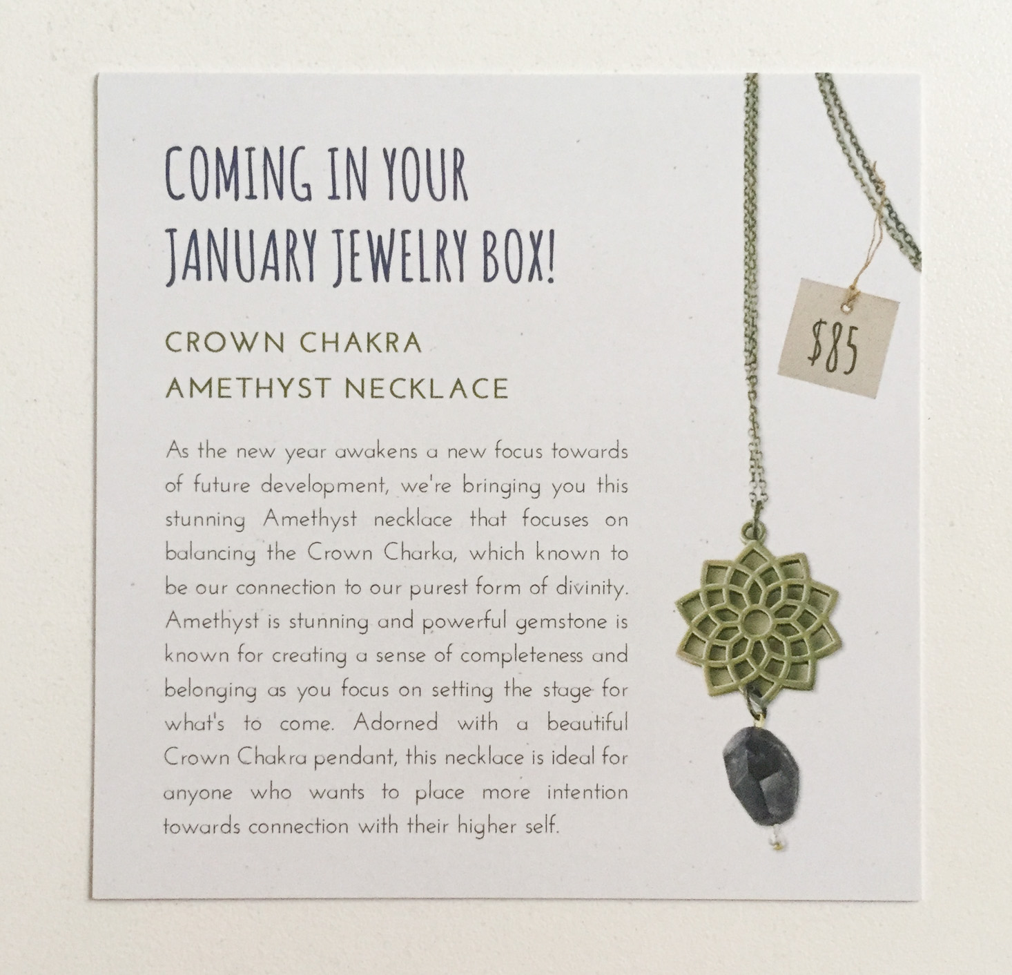 yogi-surprise-jewelry-december-2016-spoiler