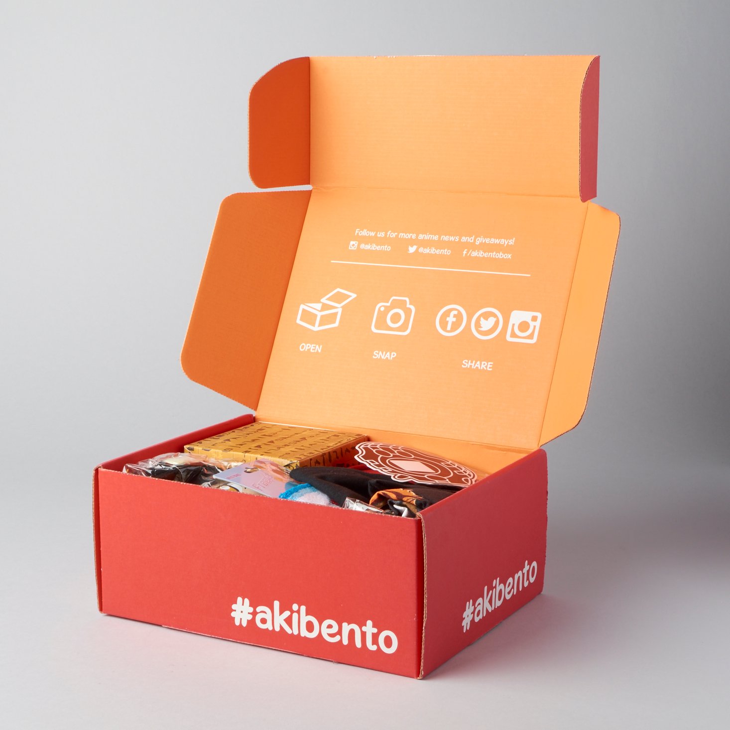 Read our review of the November 2016 Akibento box!