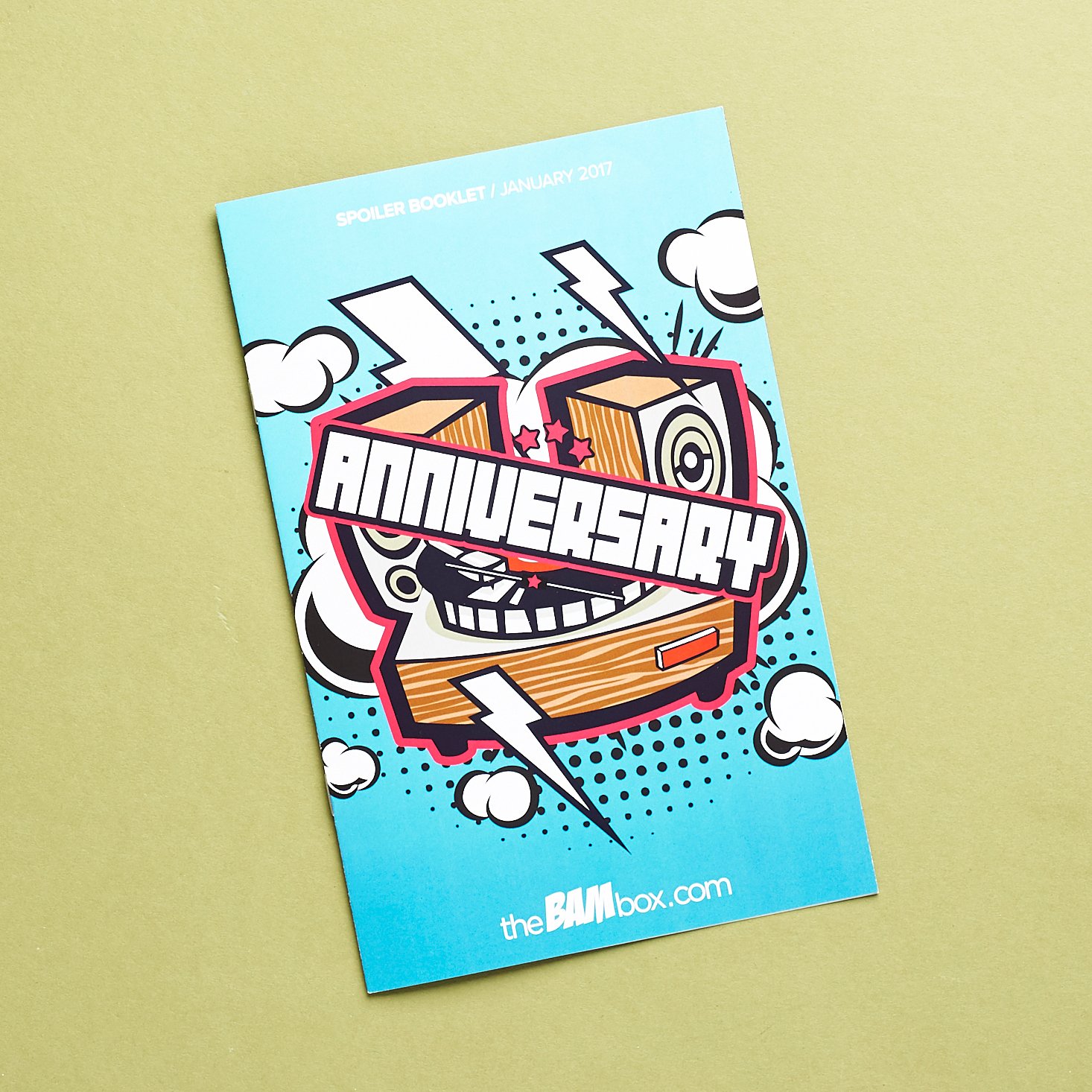 Bam-Anniversary-Box-January-2017-0004