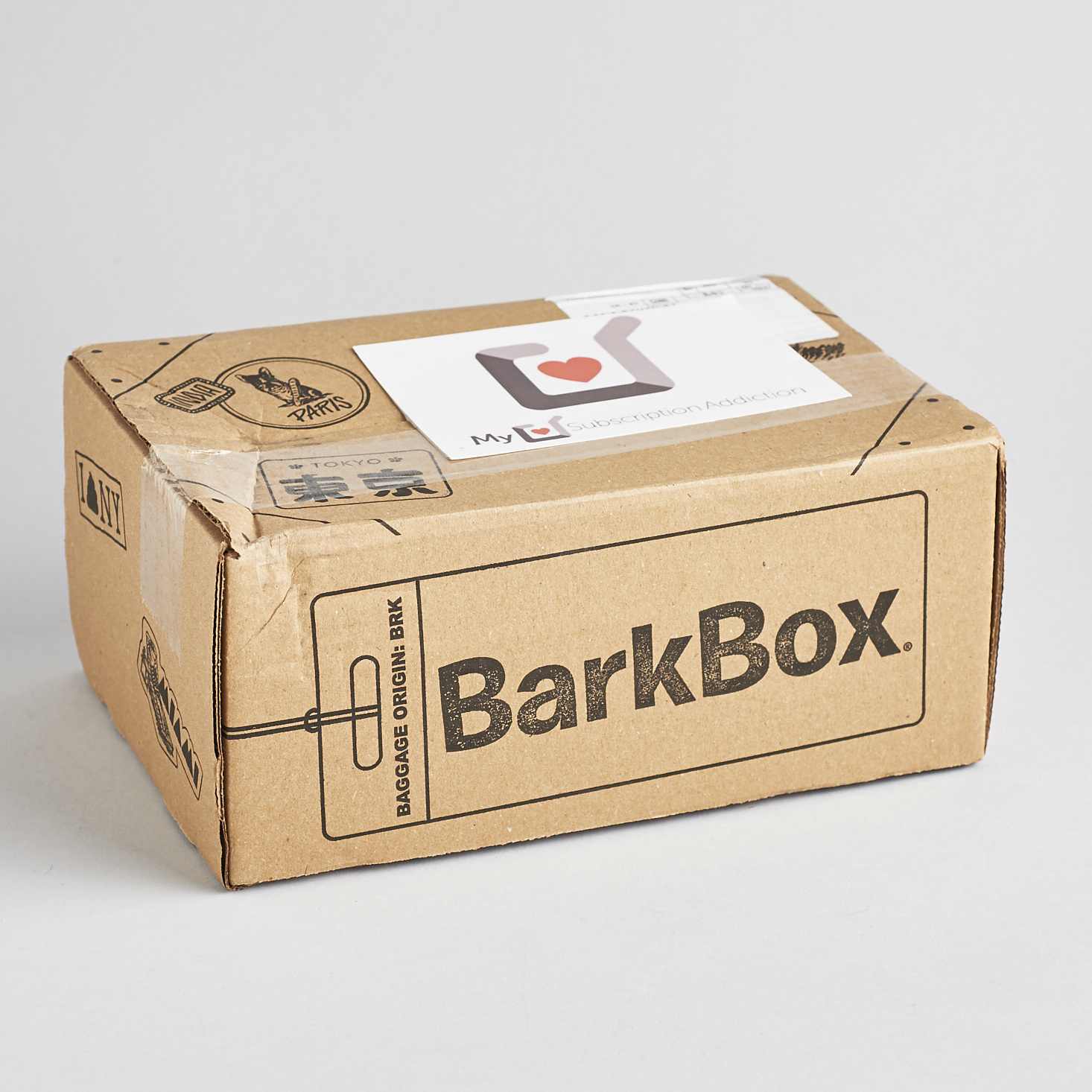 Barkbox-January-2017-0001