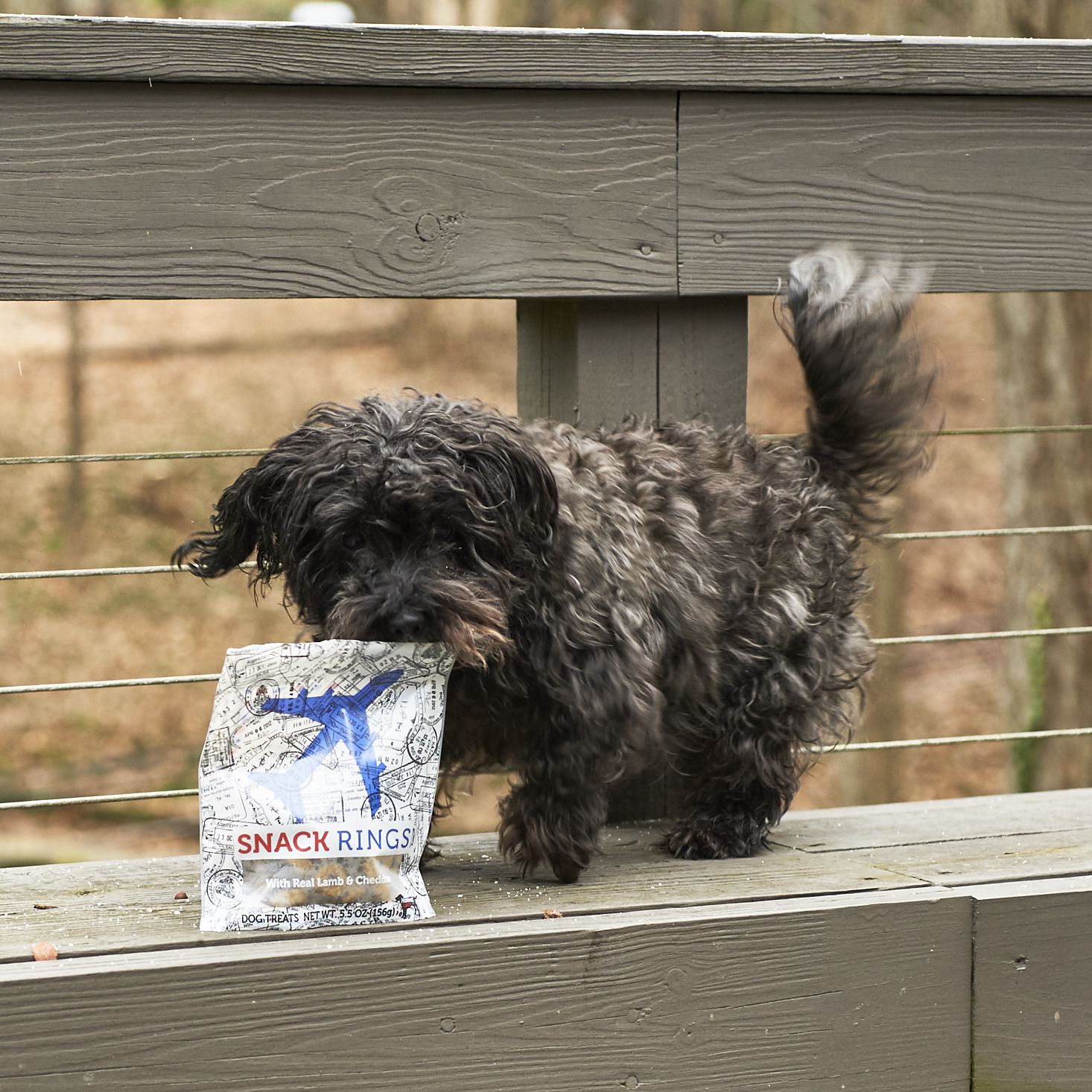 Barkbox-January-2017-0023