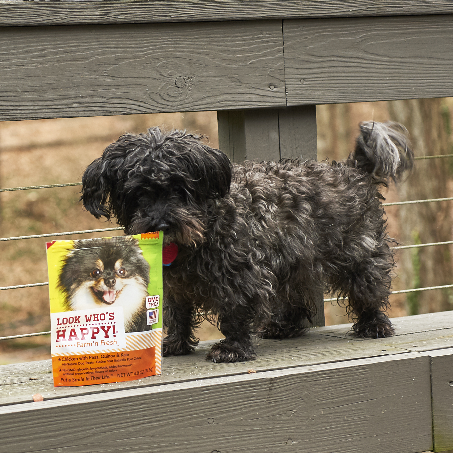 Barkbox-January-2017-0025