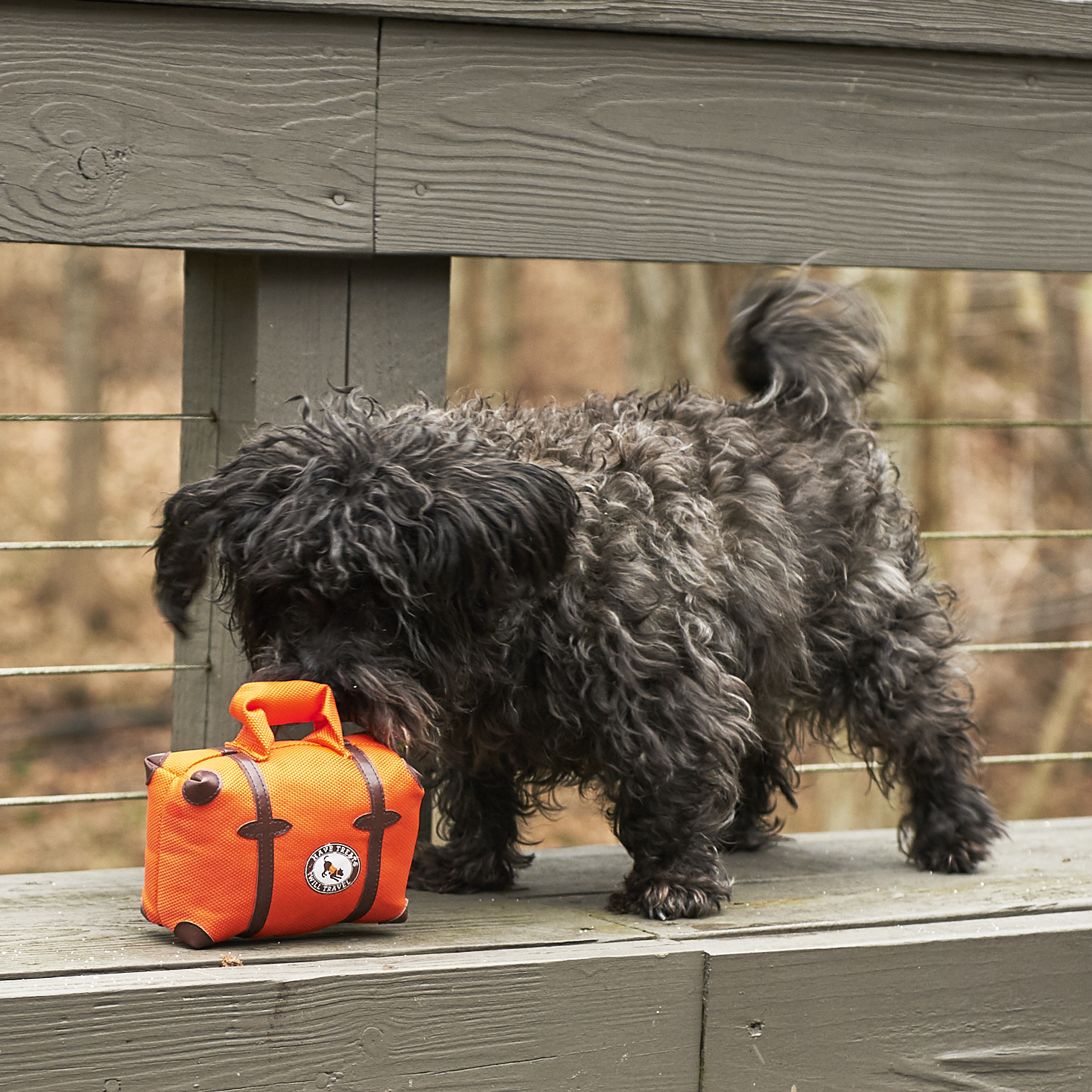 Barkbox-January-2017-0027