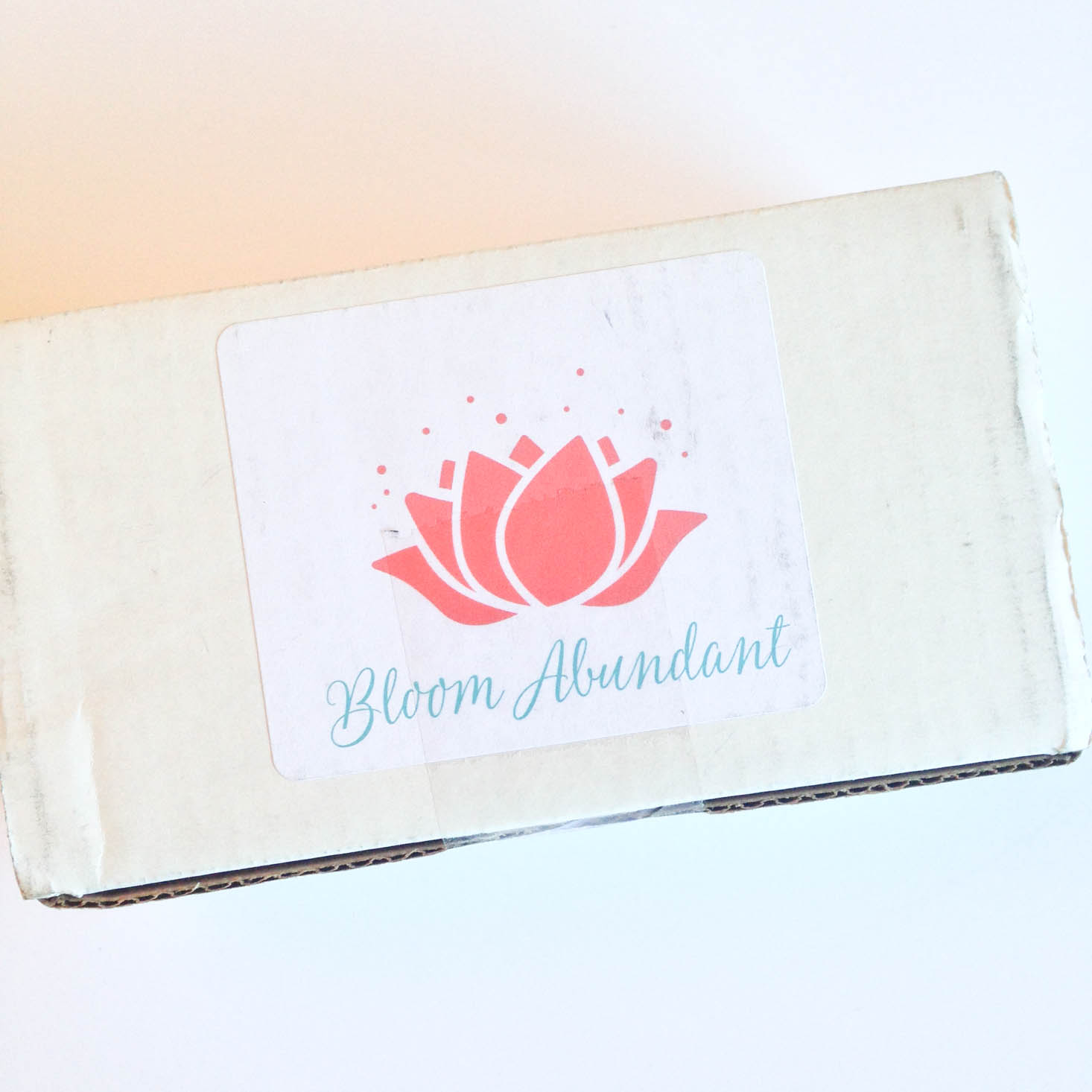 Bloom Abundant Subscription Box Review + Coupon– January 2017