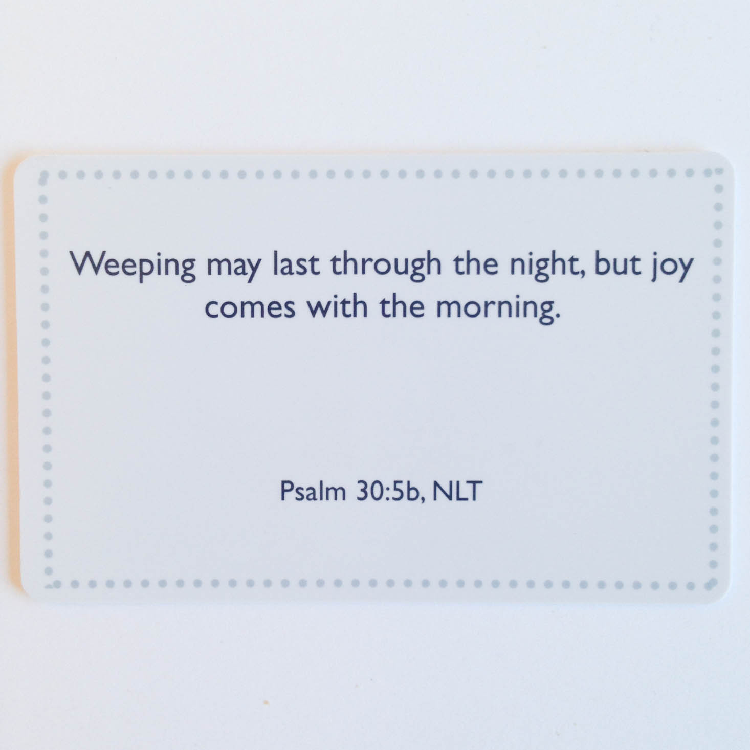 Bloom-Abundant-January-2017-11