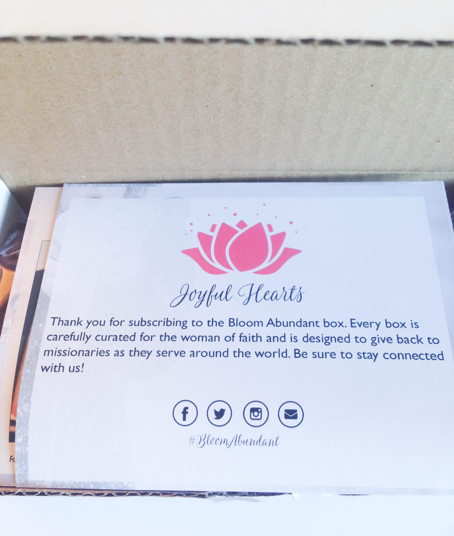 Bloom-Abundant-January-2017-2
