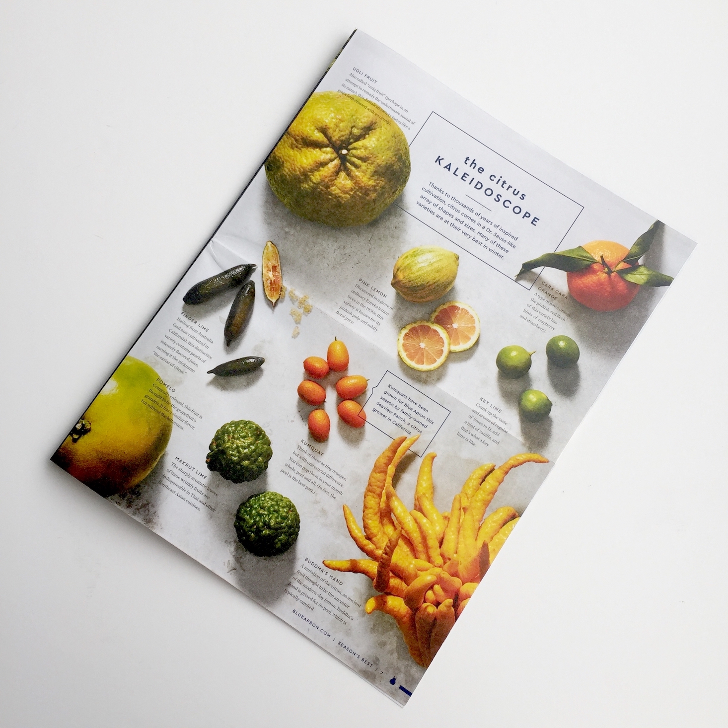 Blue-apron-january-2017-booklet-open