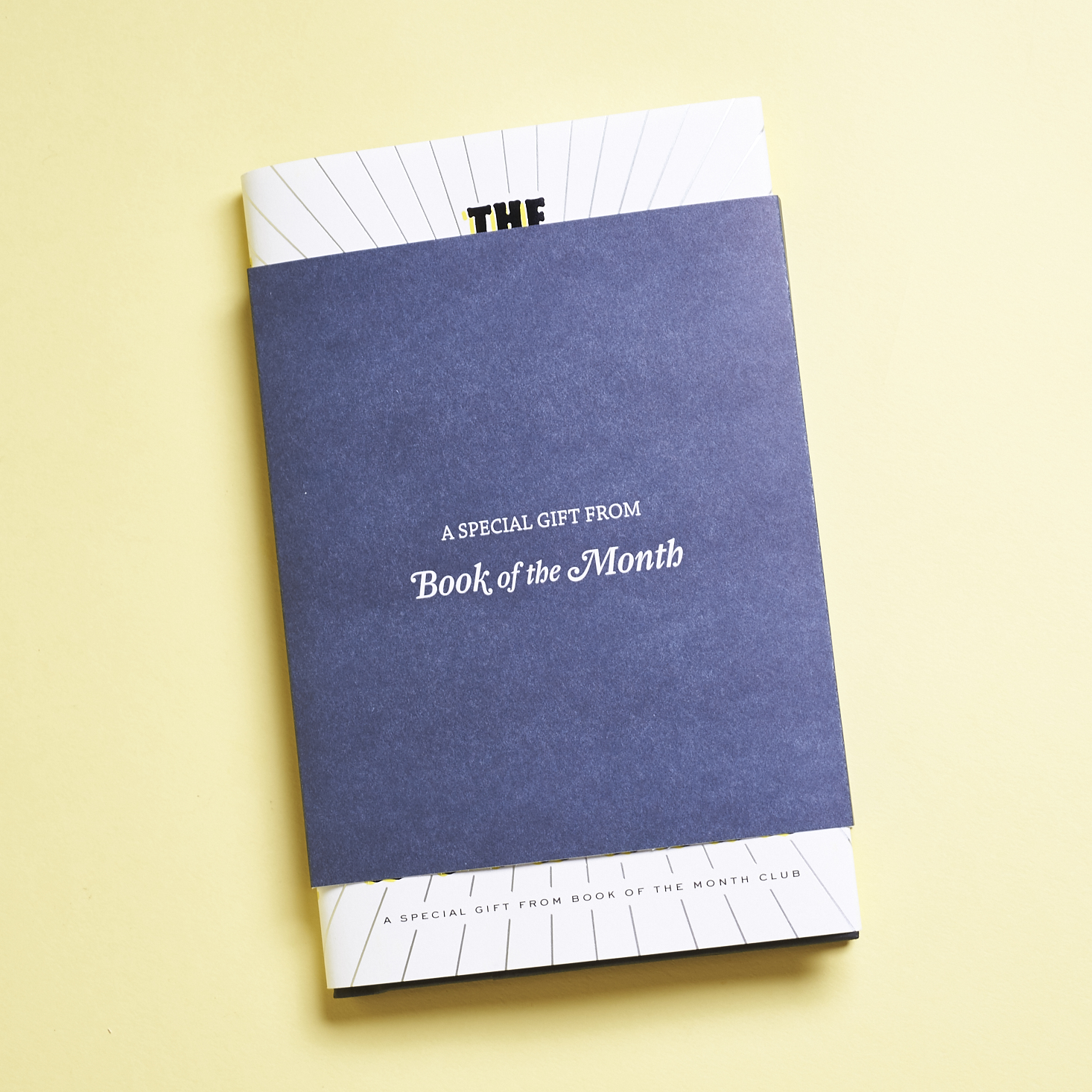 Book-of-the-Month-January-2017-0006