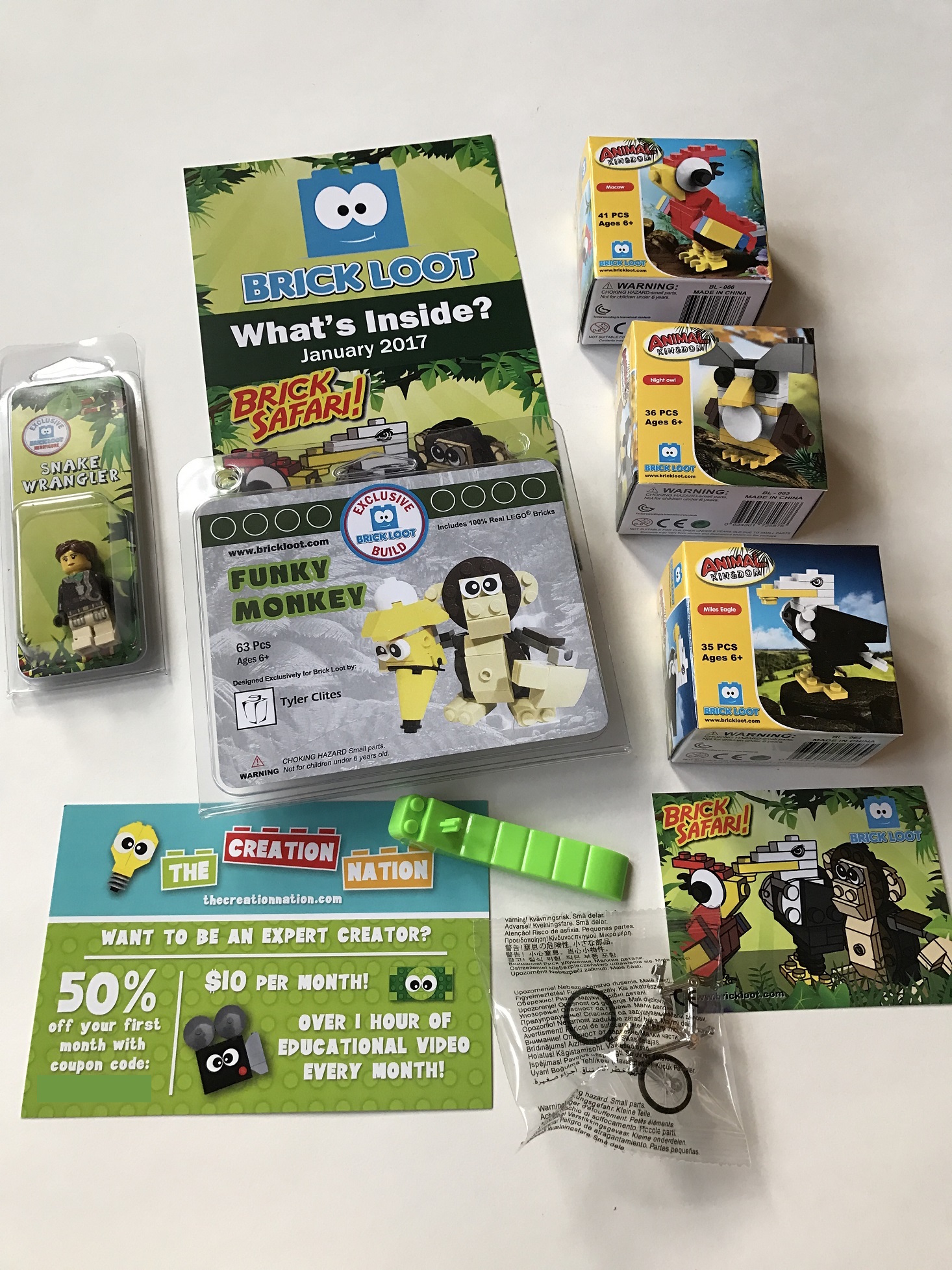 Brick-Loot-January-2017-Review