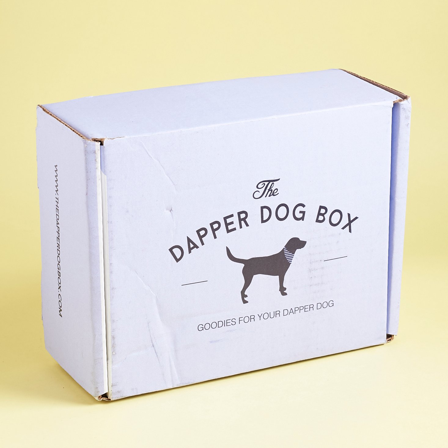 Dapper-Dog-Box-January-2017-0001