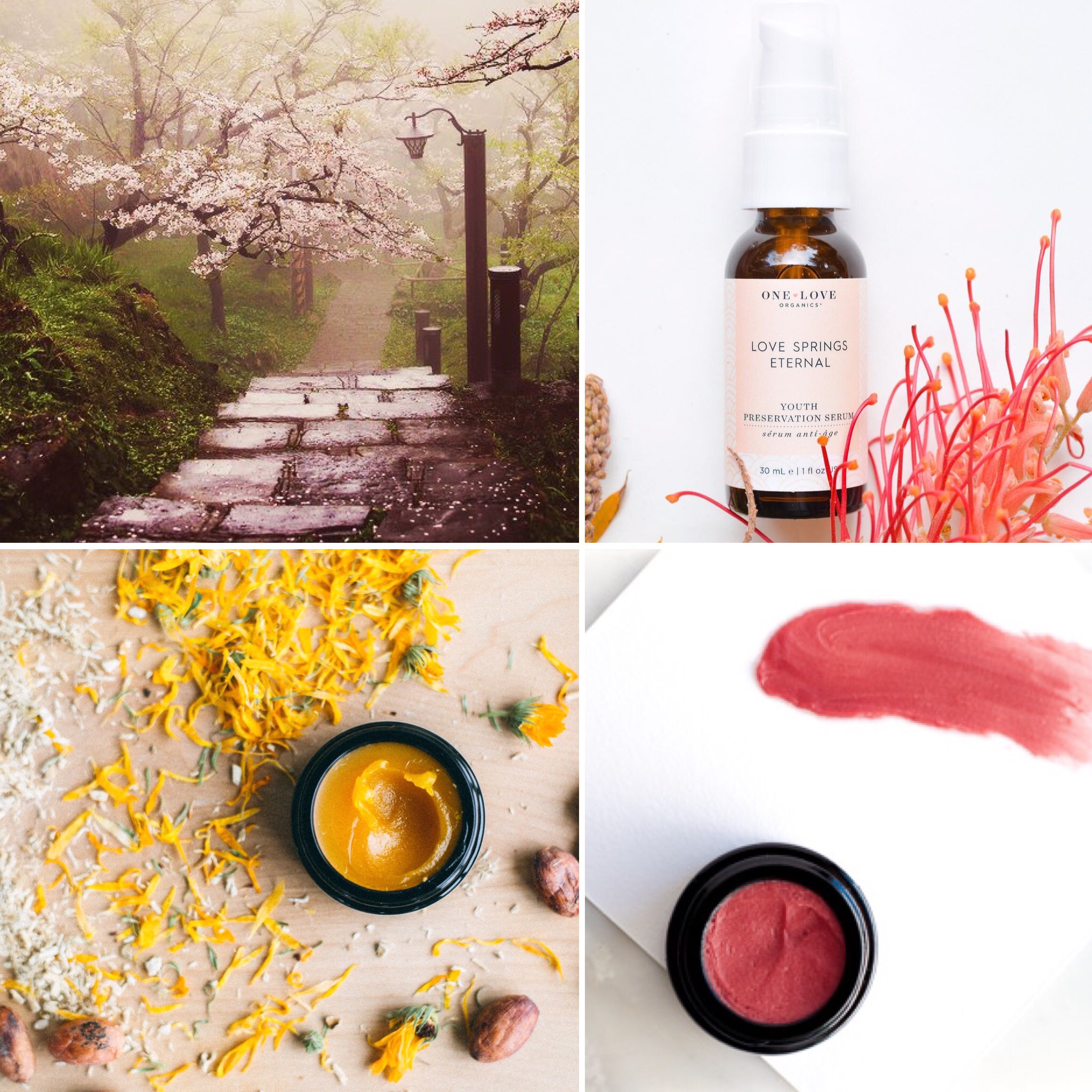 FebBeauty_SecretGarden_box