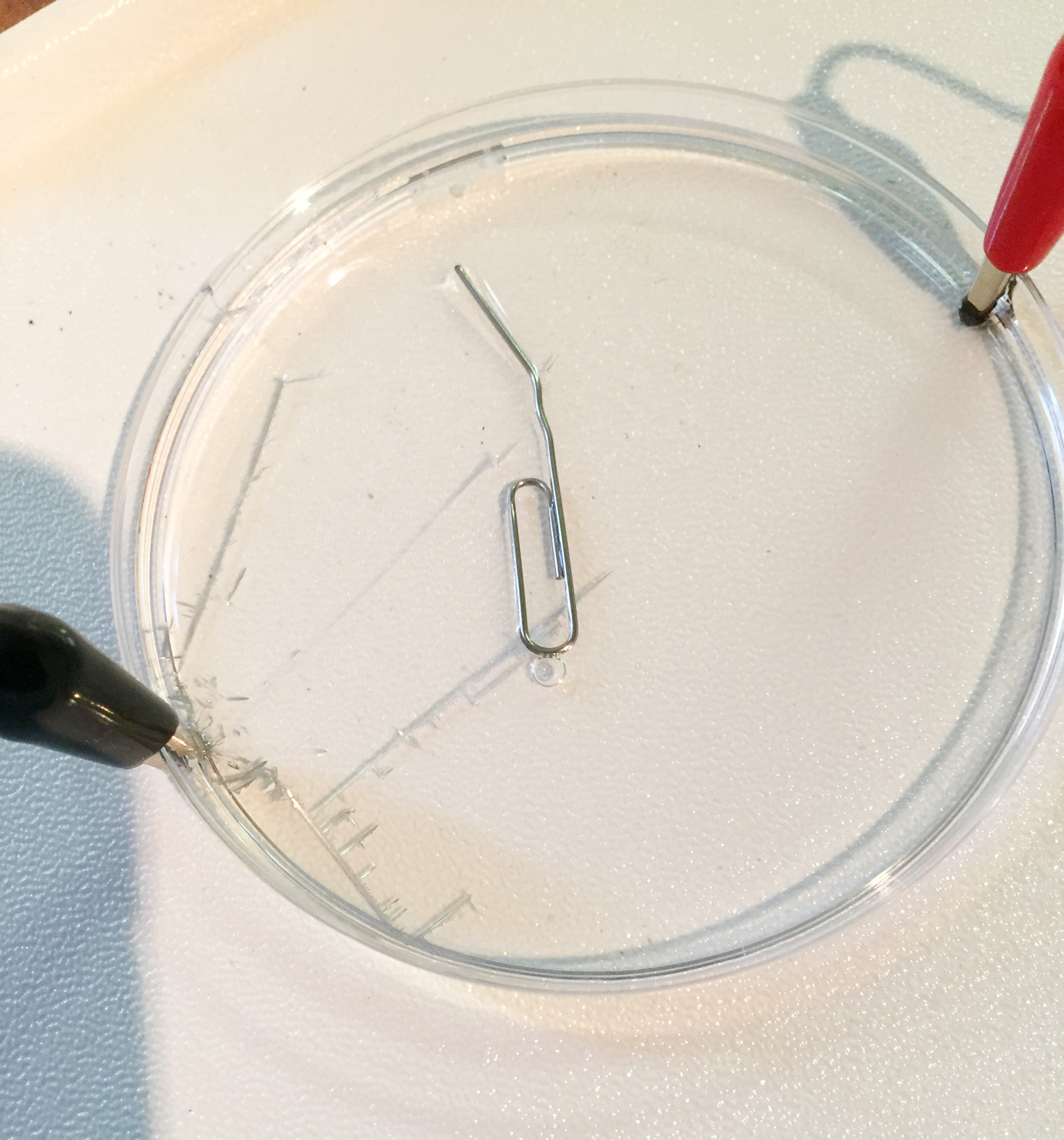 mel-chemistry-starter-december-2016-dendrite
