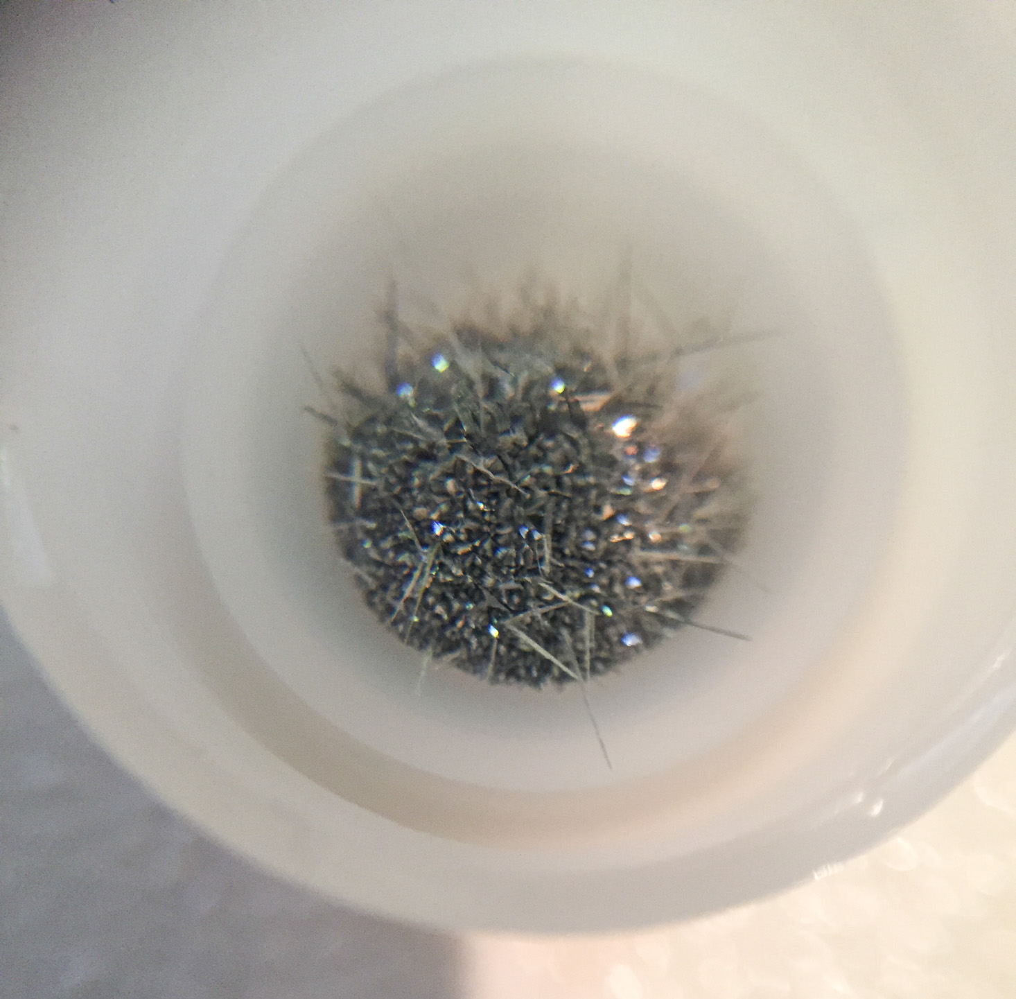 mel-chemistry-starter-december-2016-hedgehog