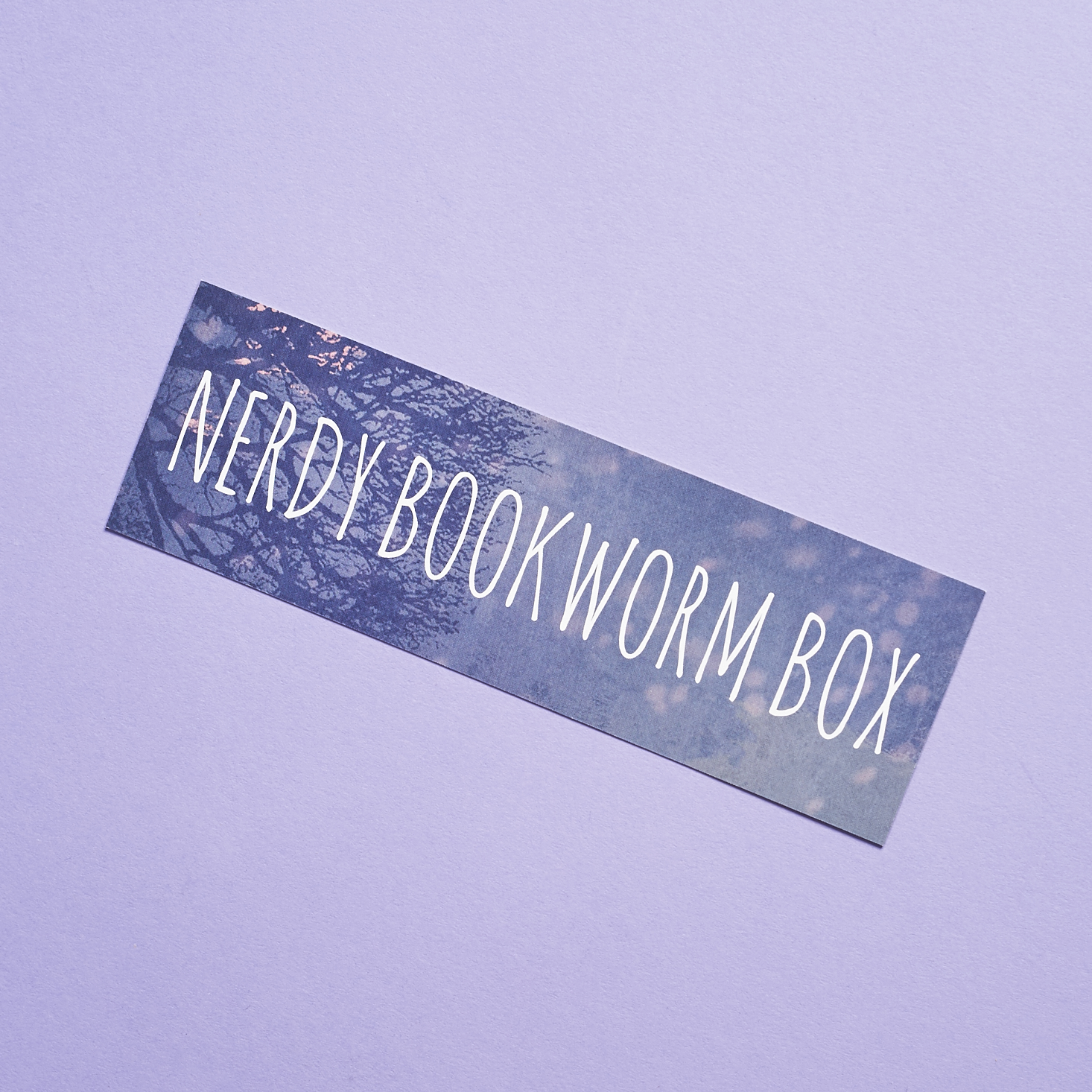 Read our review of the Nerdy Bookworm Box for December 2016!