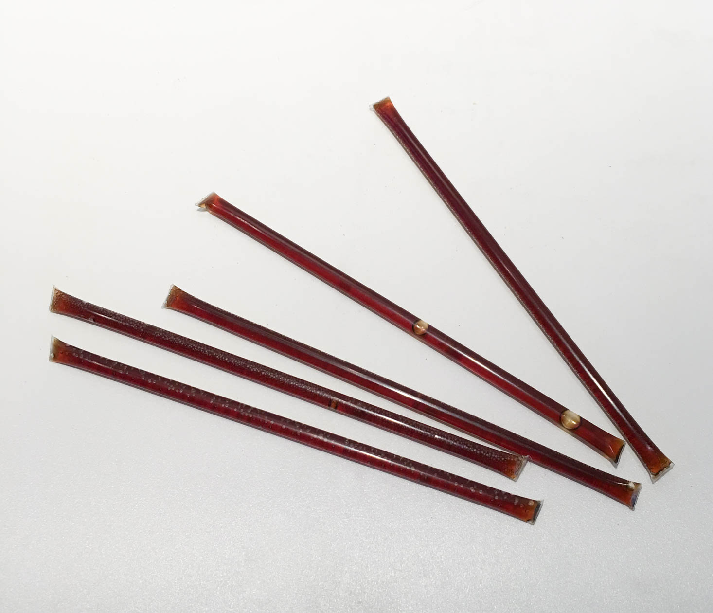 pb-jealous-january-2017-honey-sticks