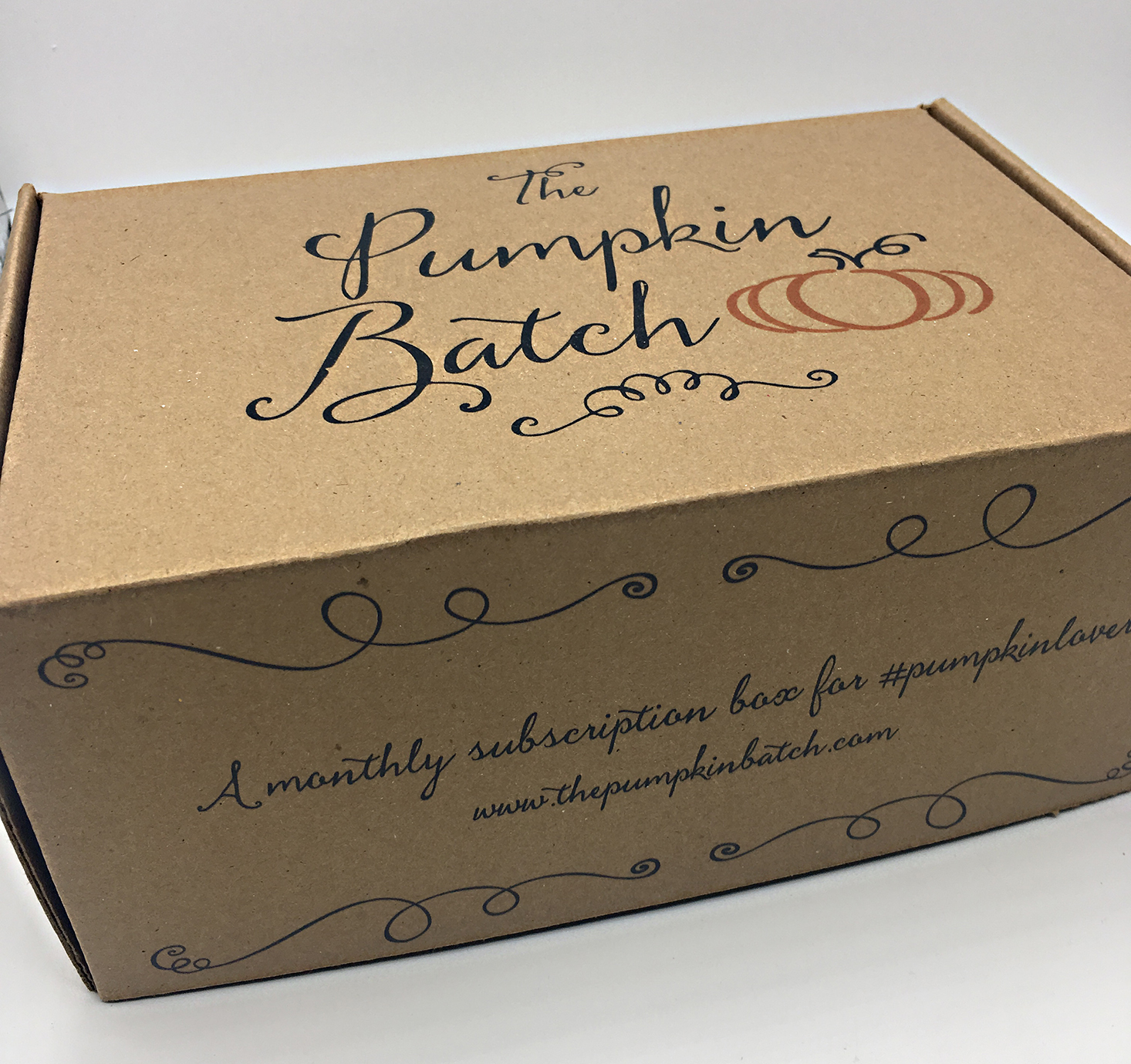 The Pumpkin Batch Subscription Review + Coupon- January 2017