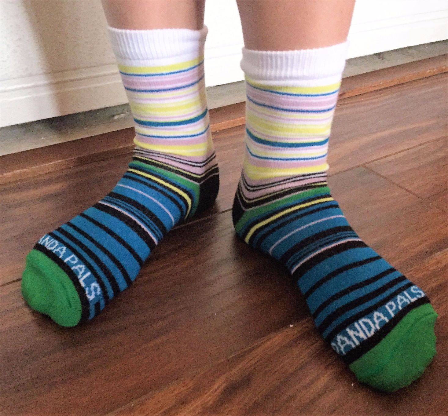 SOCKPANDA-JANUARY-2017-08socks.jpg