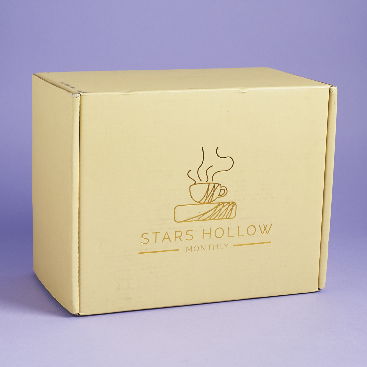 Stars Hollow Monthly Subscription Box Review – December 2016