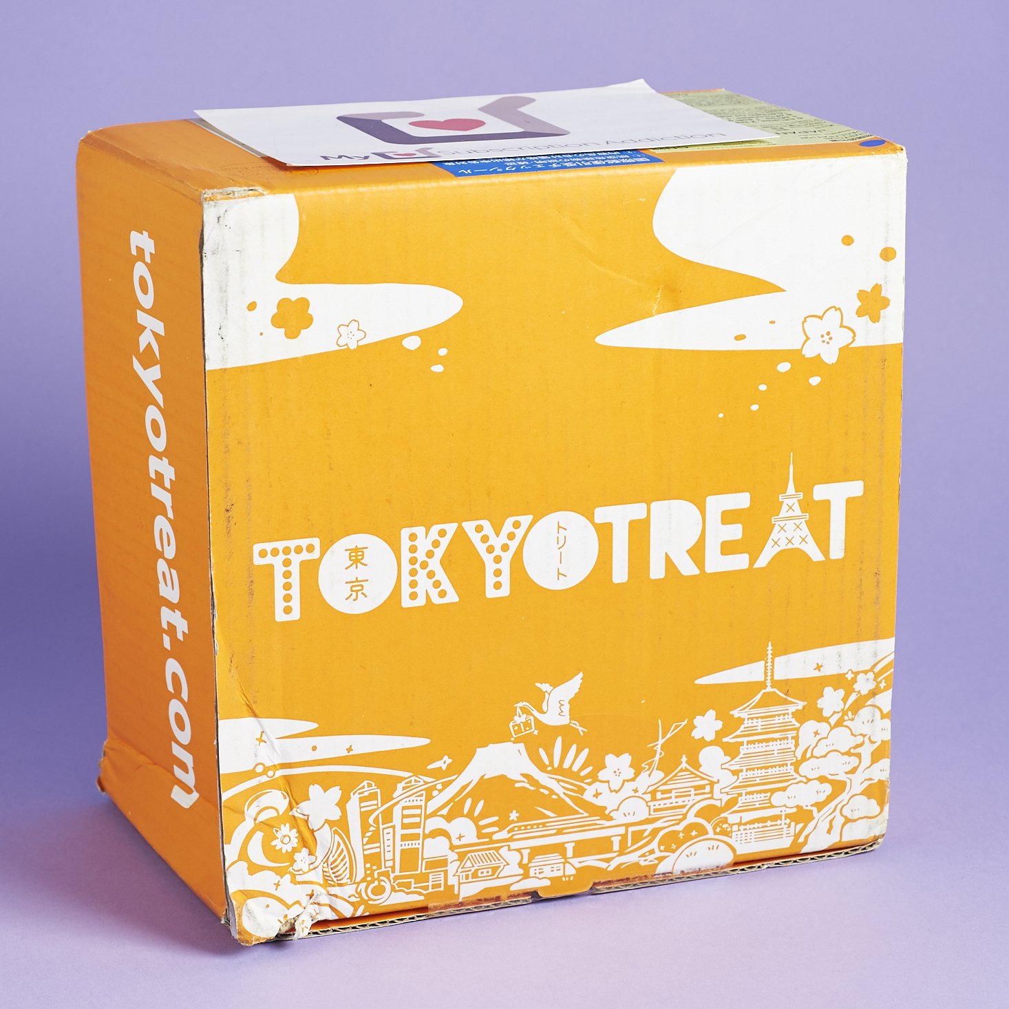 TokyoTreat Subscription Box Review – January 2017