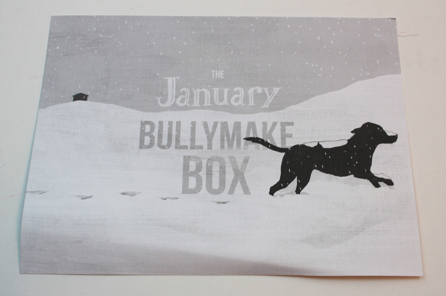 bullymake-box-january-2017-booklet-front