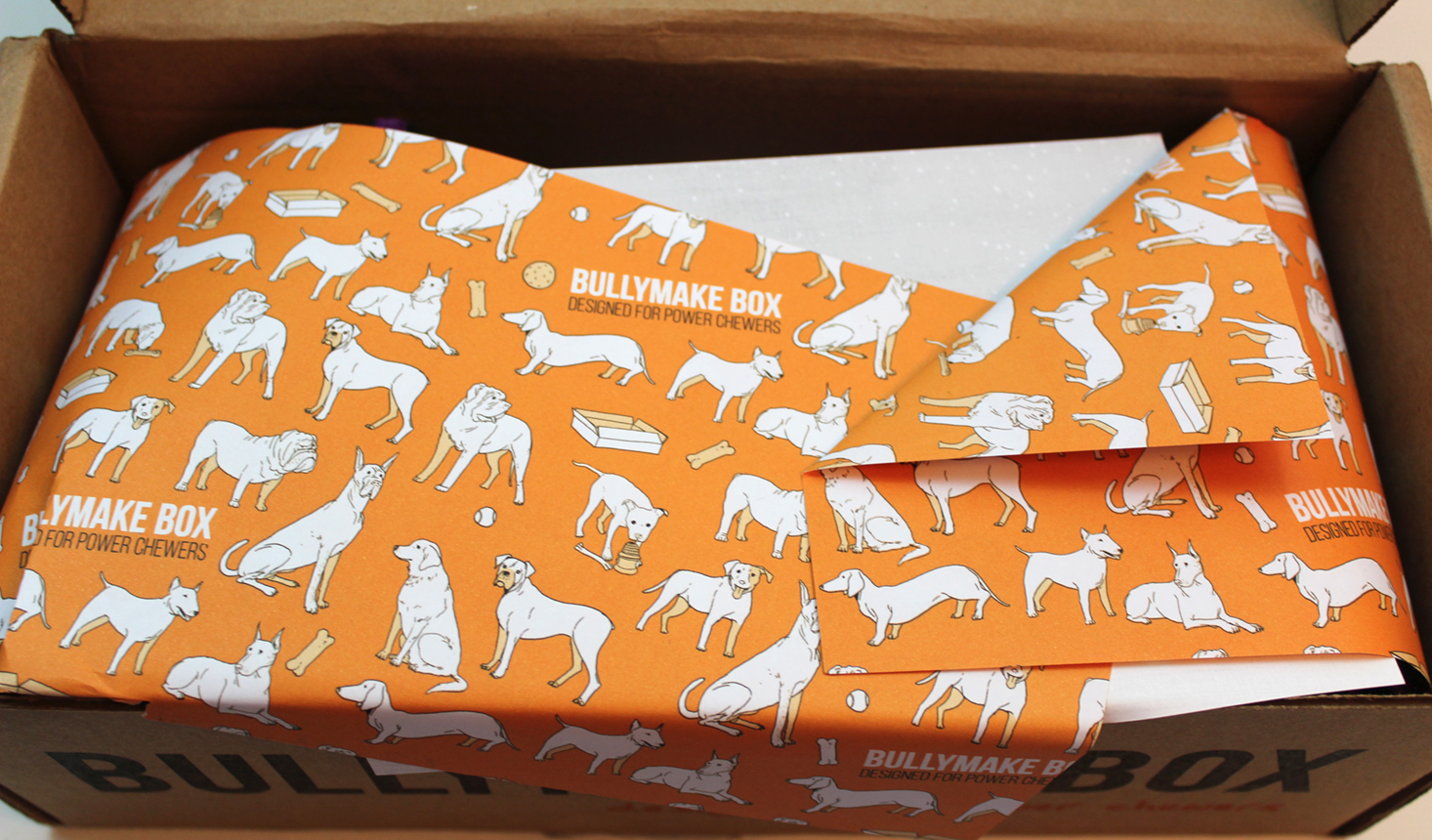 bullymake-box-january-2017-inside1