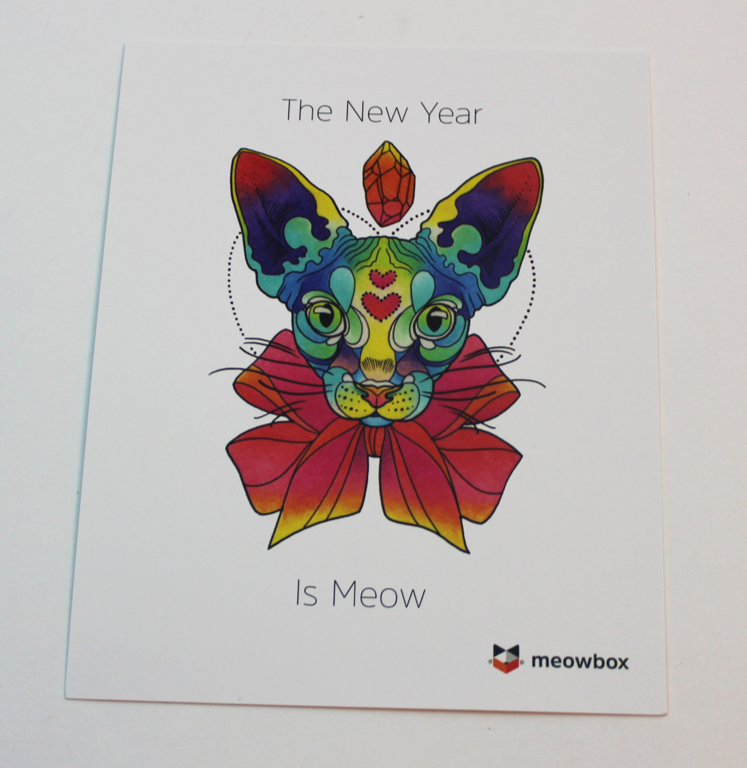 meowbox-january-2017-booklet-front