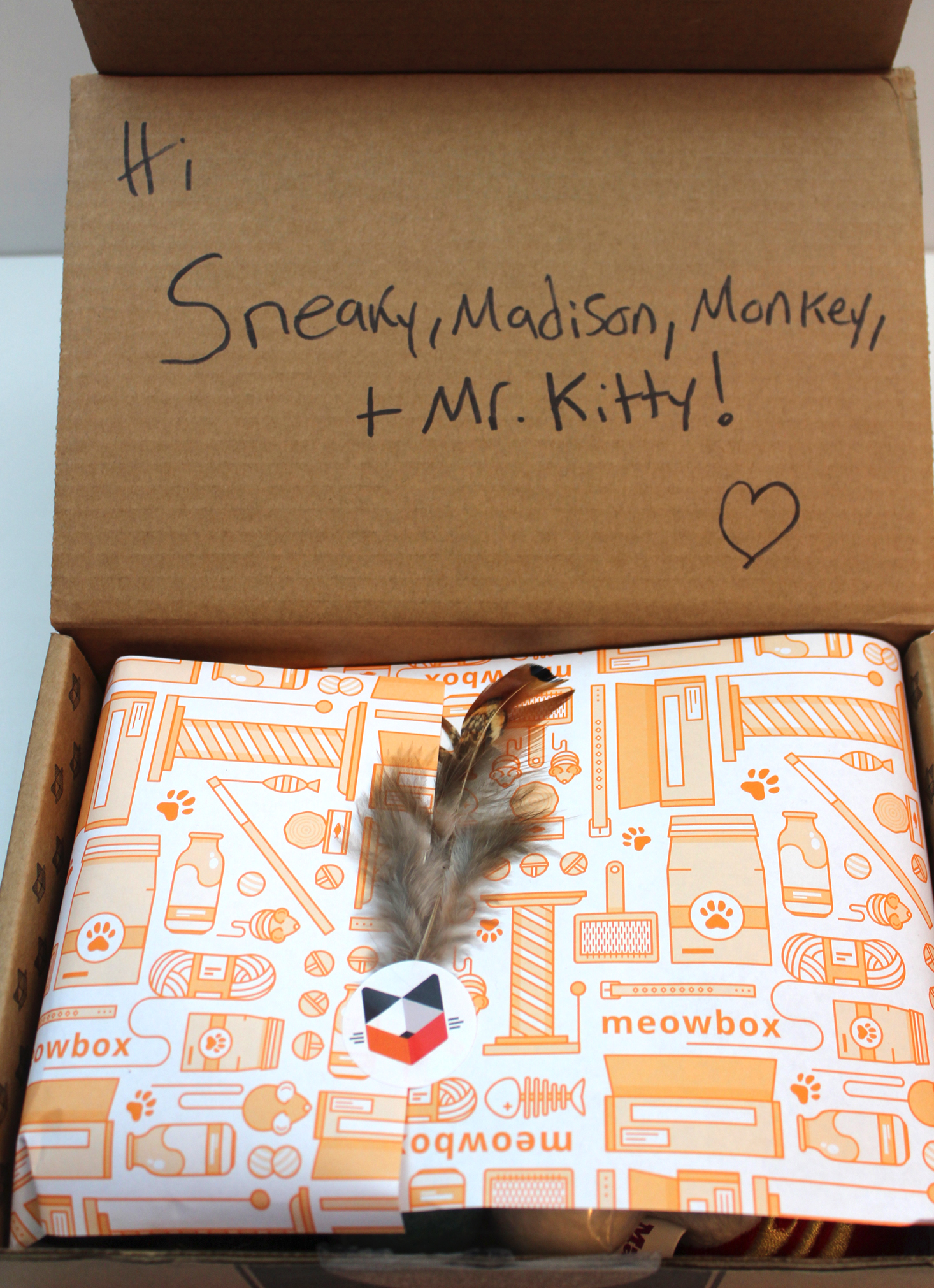 meowbox-january-2017-inside1