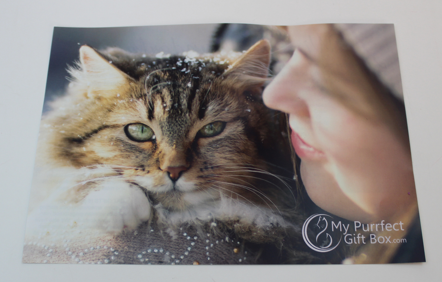 my-purrfect-gift-box-december-2016-booklet-front