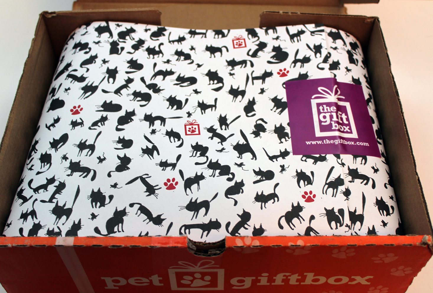 pet-gift-box-cat-january-2017-inside1