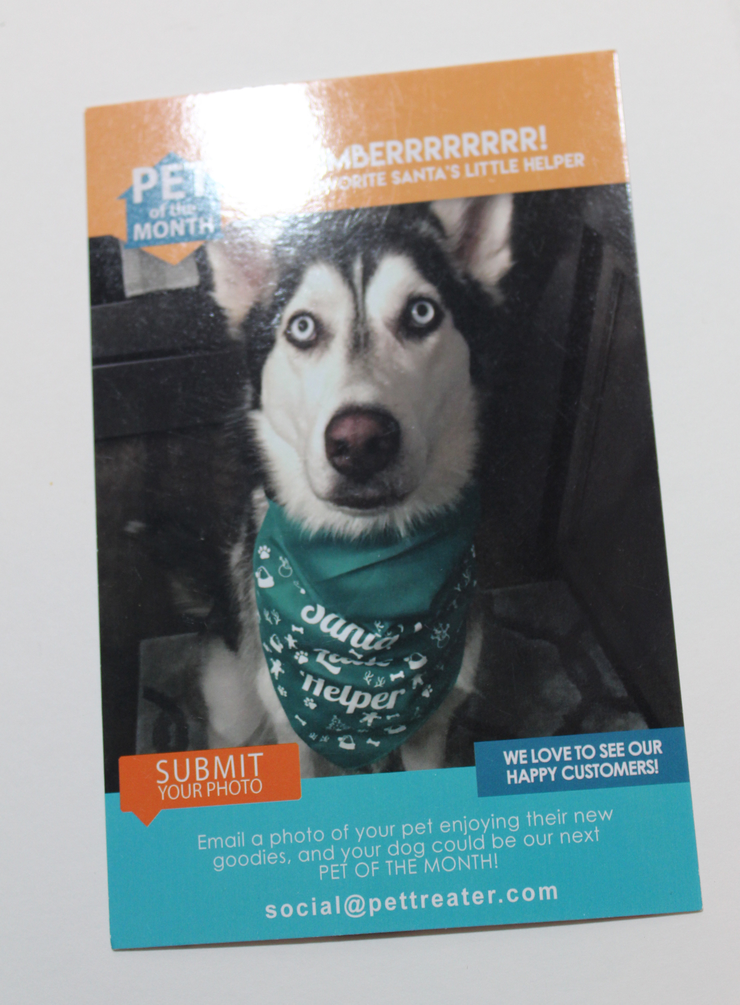 pet-treater-january-2017-booklet-back